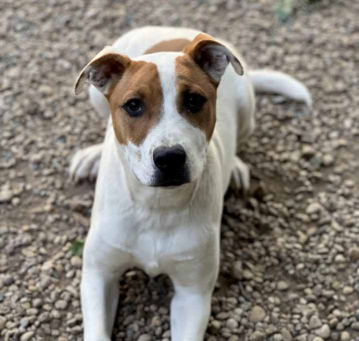 Photo of Max(Wonton)