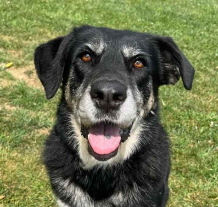 Photo of Freya