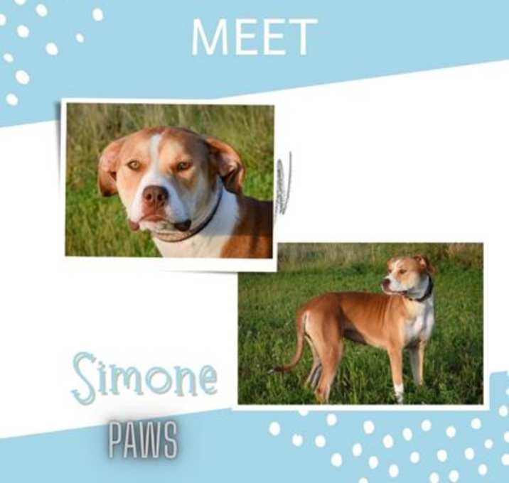 Photo of Simone