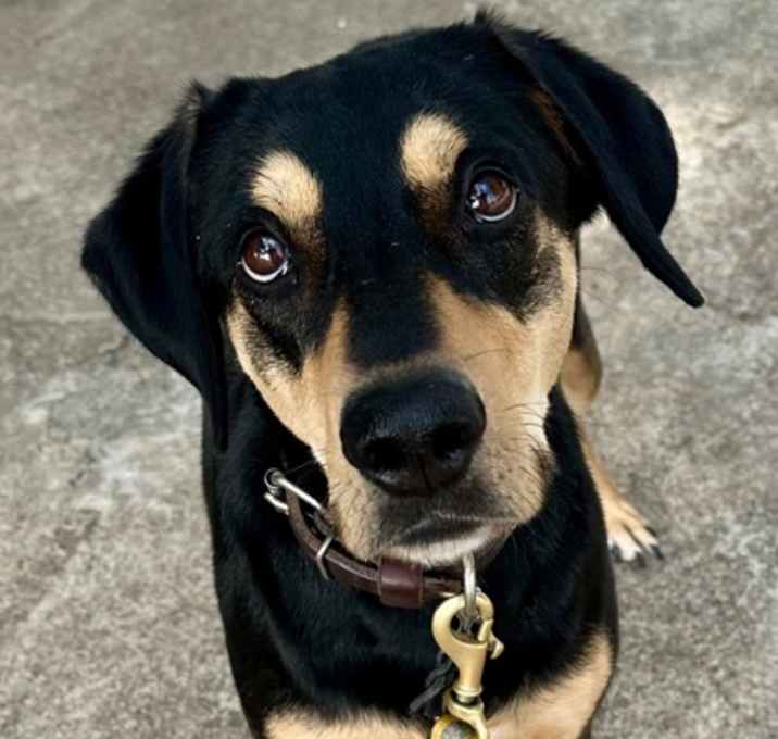 Photo of Maddy