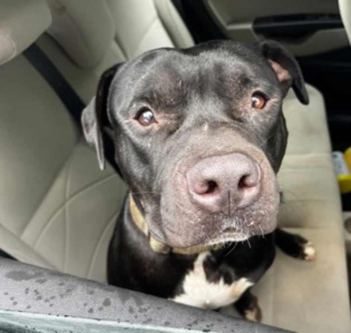 Photo of Charlie Brown