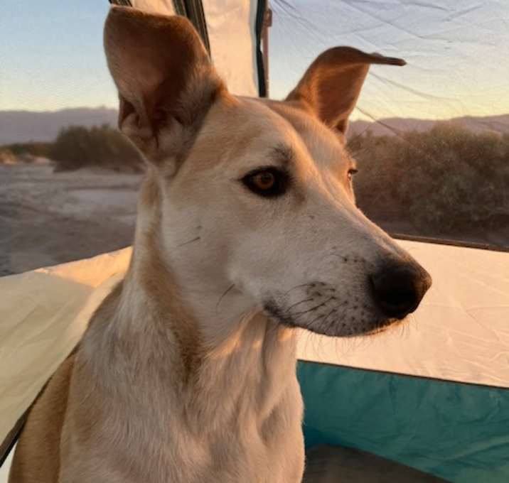 Photo of Jeff