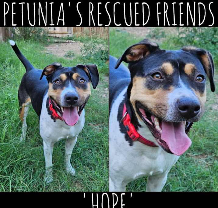 Photo of Hope