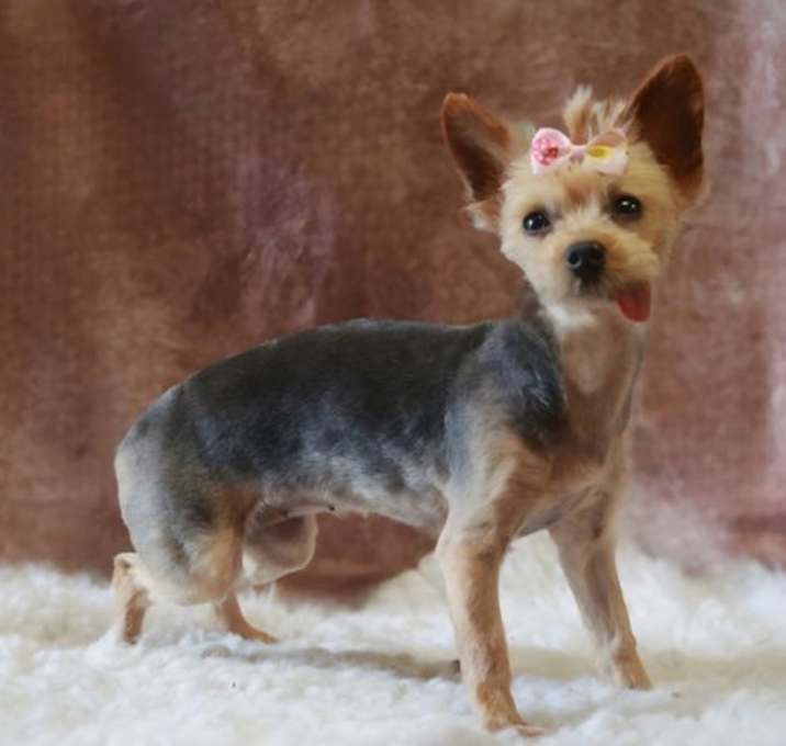 Photo of *Maya BLUE -- AUG 2024