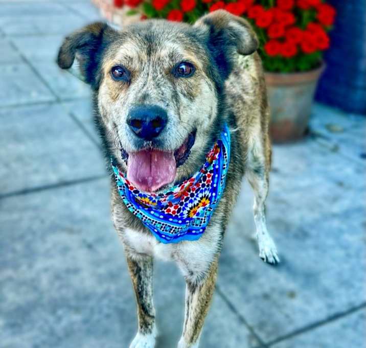 Photo of Cash