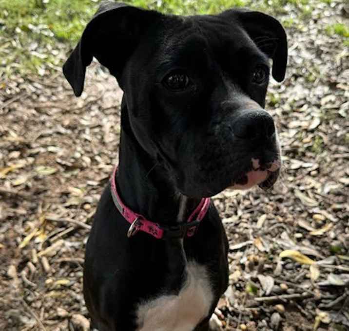 Photo of EBONY