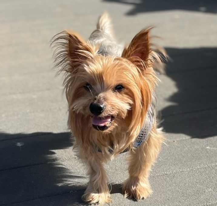 Photo of Lucas