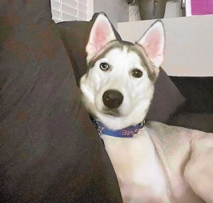 Photo of Tipsy