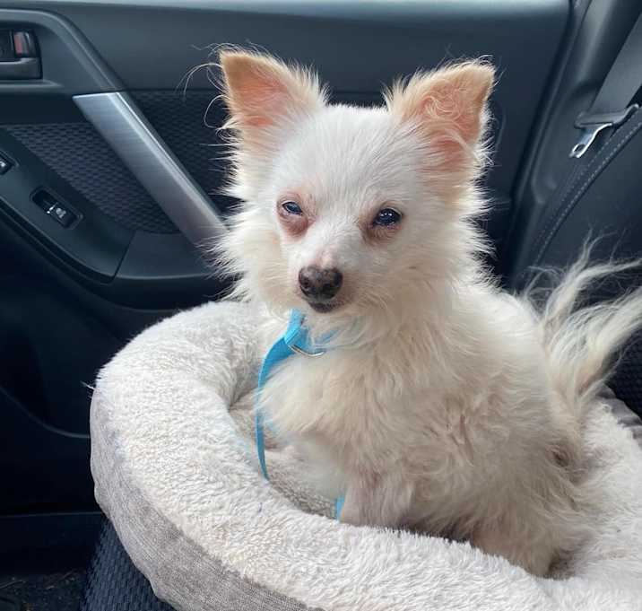 Photo of Benny