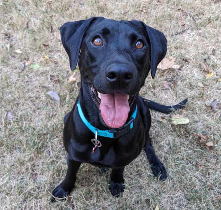 Photo of Bella