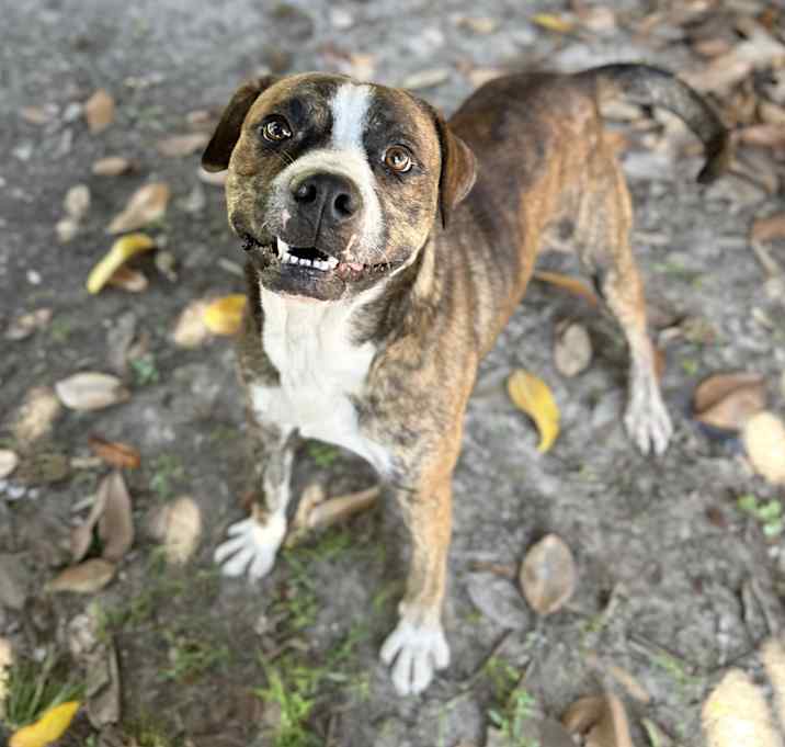 Photo of Fonzie
