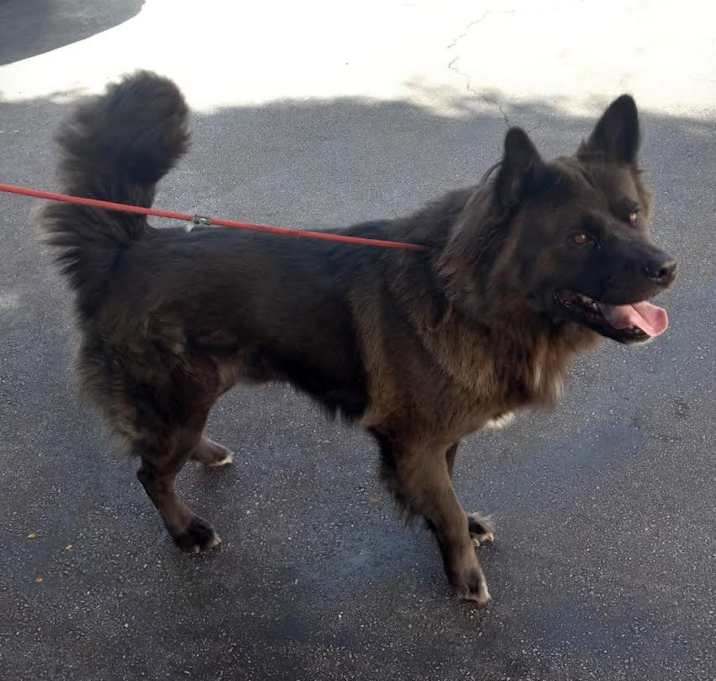 Photo of Zeke