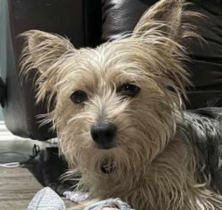 Photo of Theo