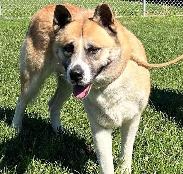 Photo of Ruckus