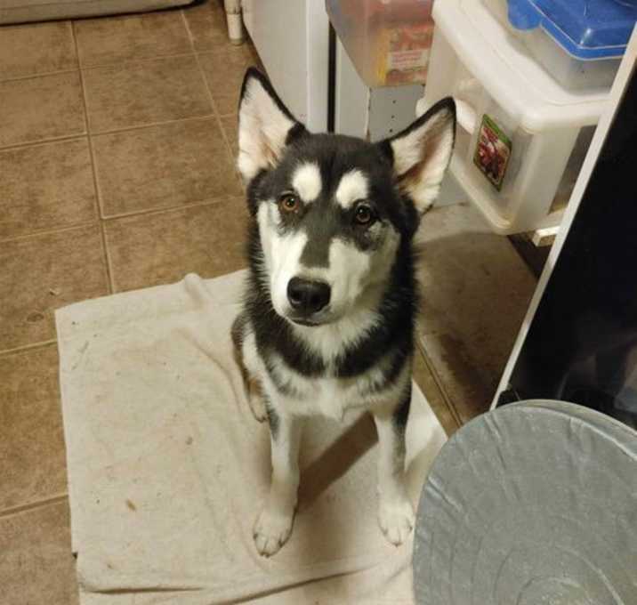 Photo of Nora