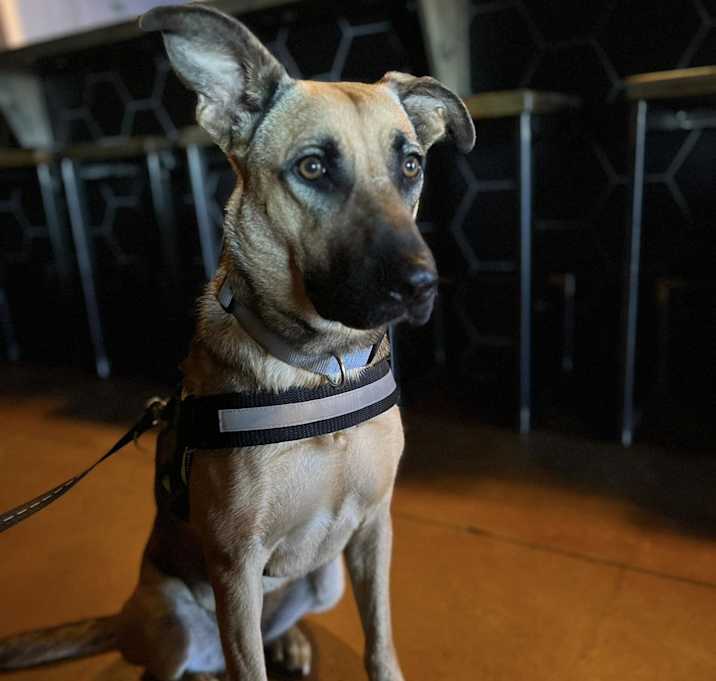 Photo of Maggie