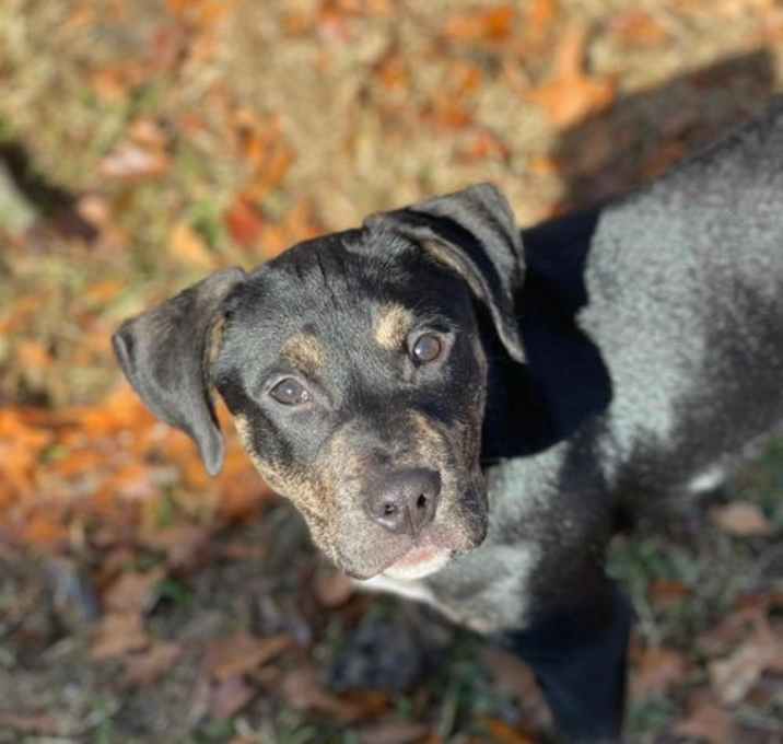 Photo of Charlie