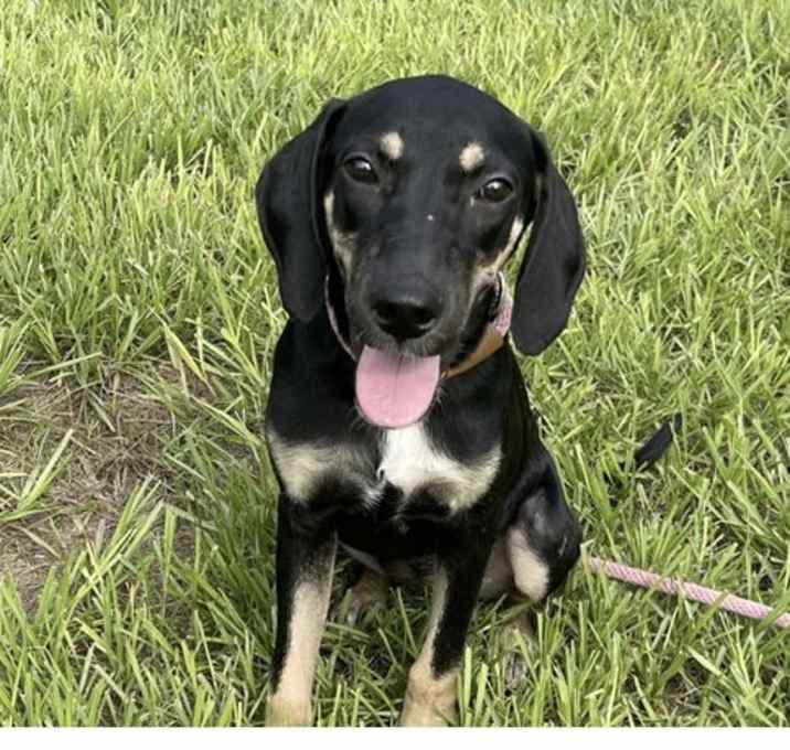 Photo of Tater