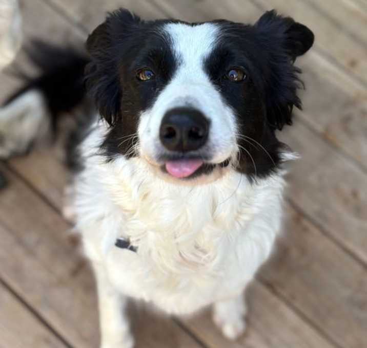 Photo of Traka