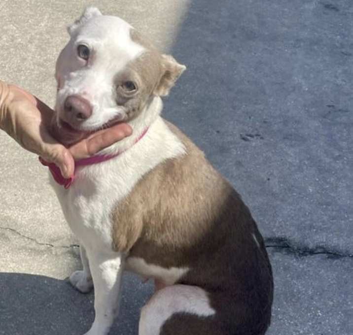 Photo of Gladys