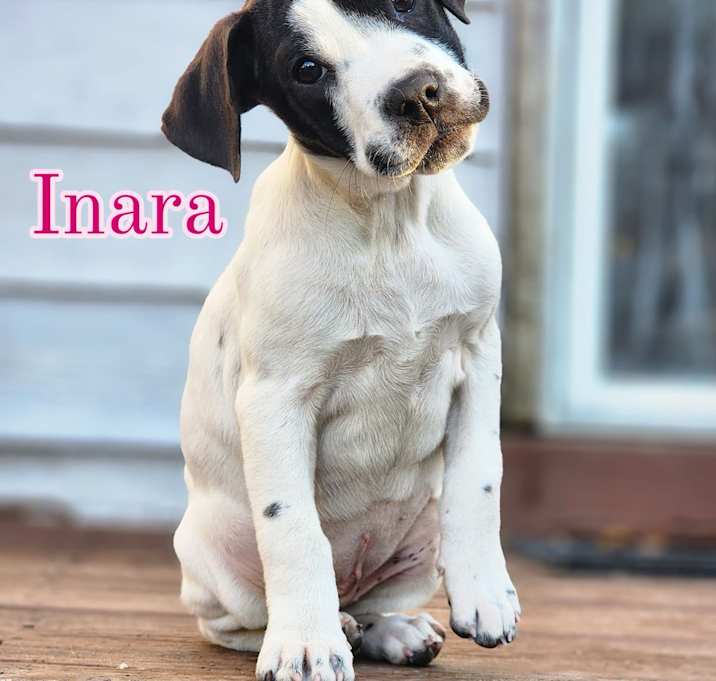 Photo of Inara