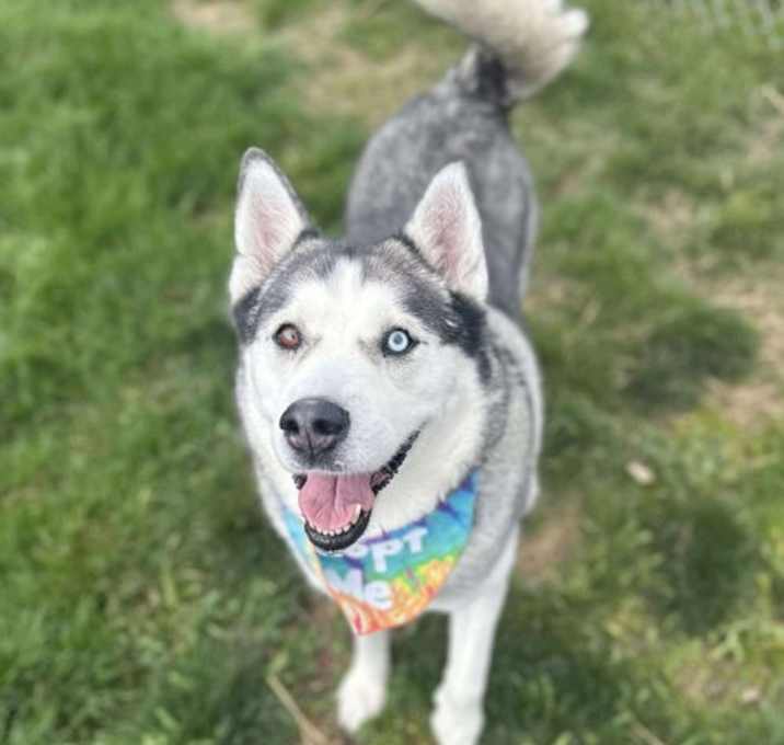 Photo of Penny