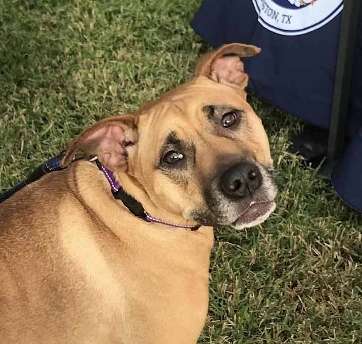 Photo of Mabel