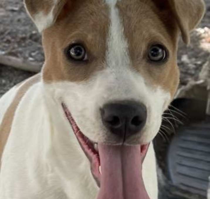 Photo of Remi