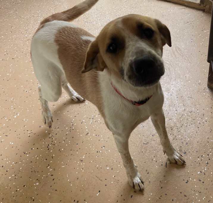 Photo of PENELOPE