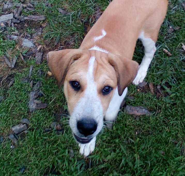 Photo of NELLIE