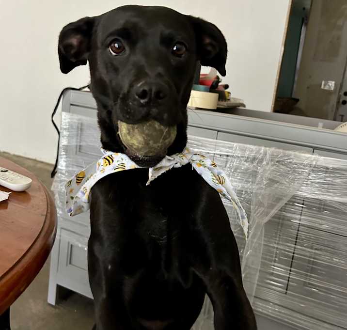 Photo of Wilma