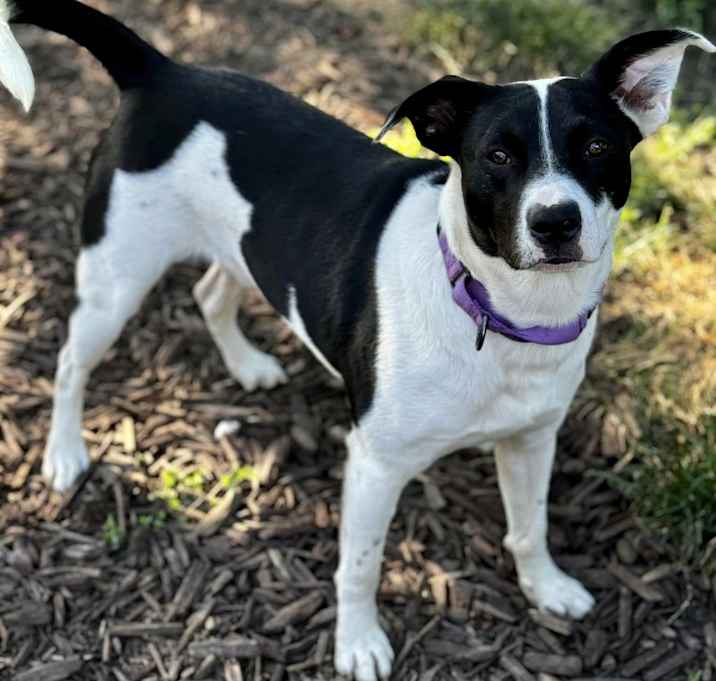 Photo of Tchoup