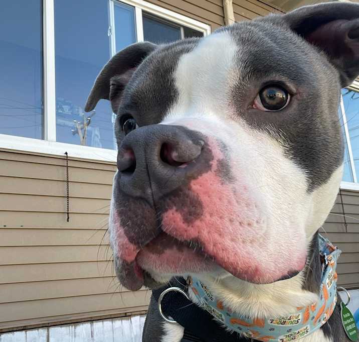 Photo of Tater