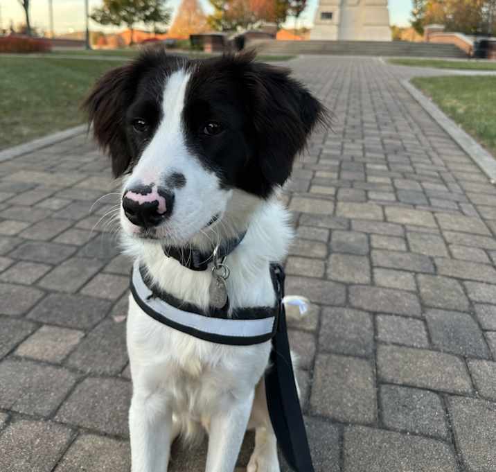 Photo of Jack