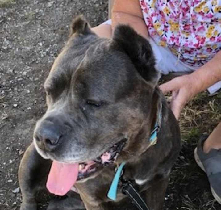 Photo of Charity
