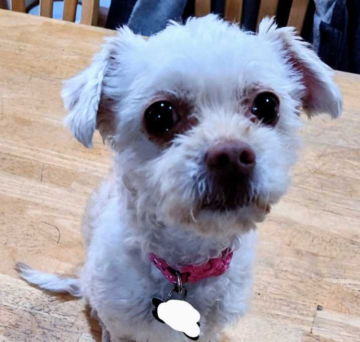 Photo of Eliza Jane