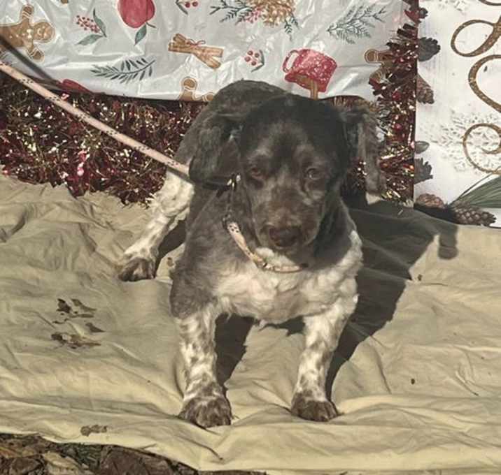 Photo of JACK