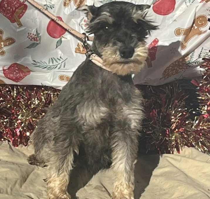 Photo of FRITZ