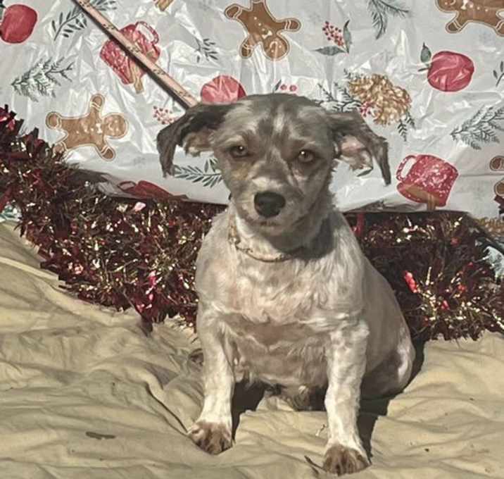 Photo of JULIE