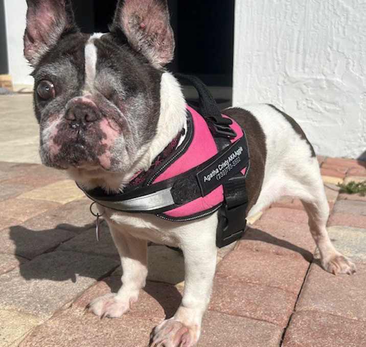 Photo of Aggie