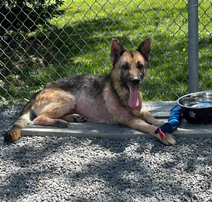 Photo of Chase