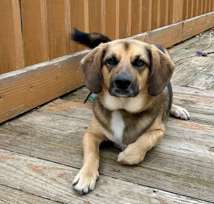 Photo of Tabitha
