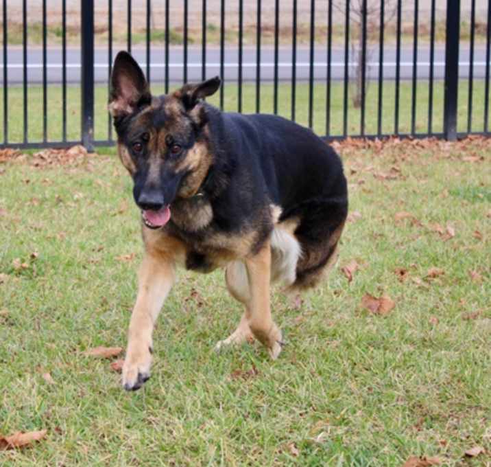 Photo of Kimber