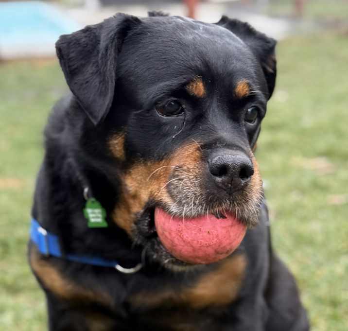 Photo of Mia