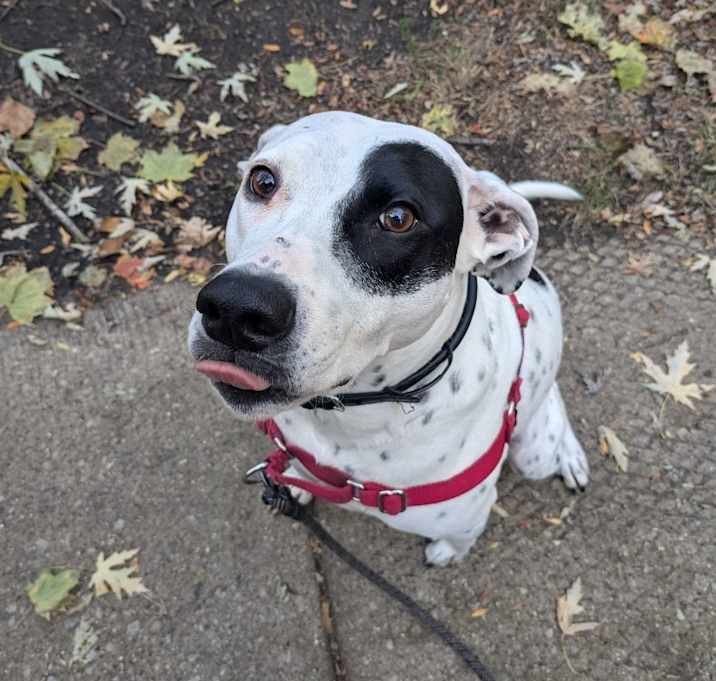 Photo of Freya