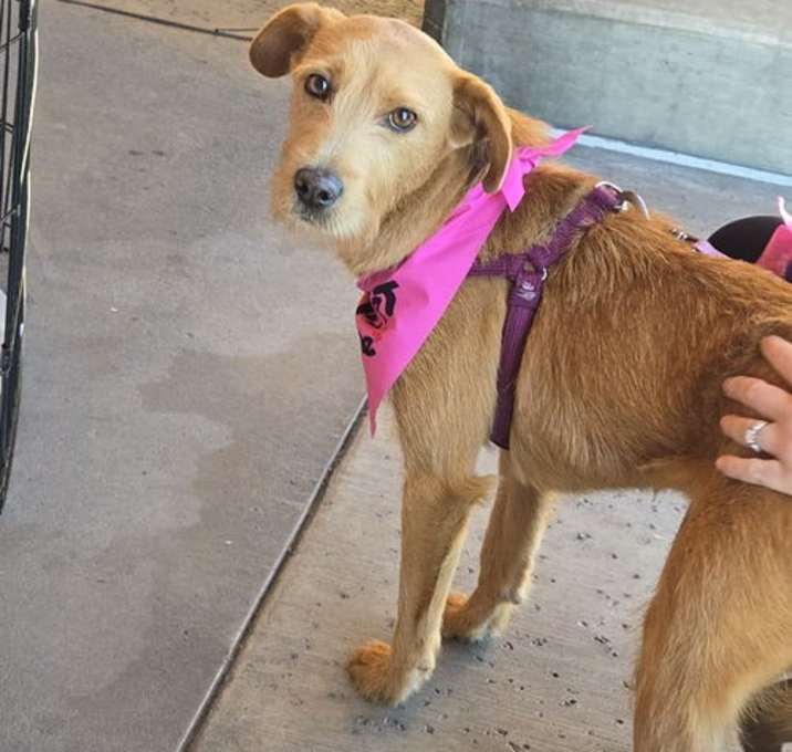 Photo of Chula