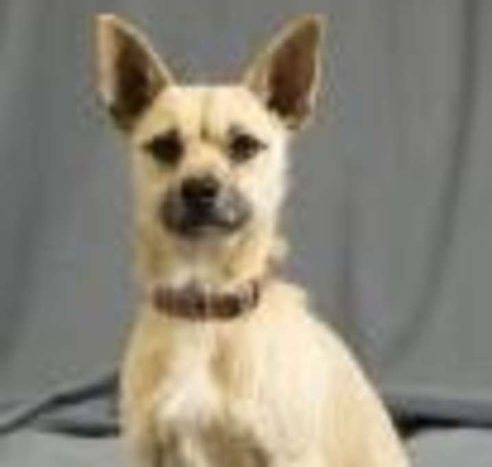 Photo of Speedy