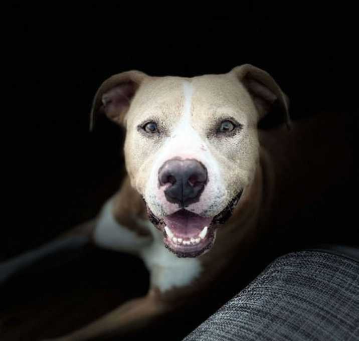 Photo of Prada