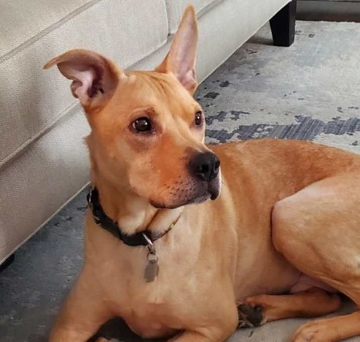 Photo of Juggie