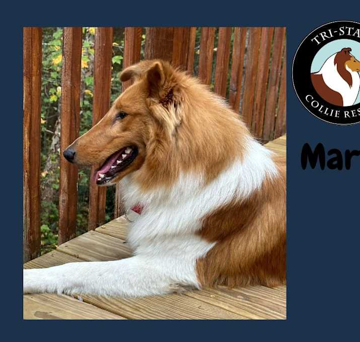 Photo of Marty